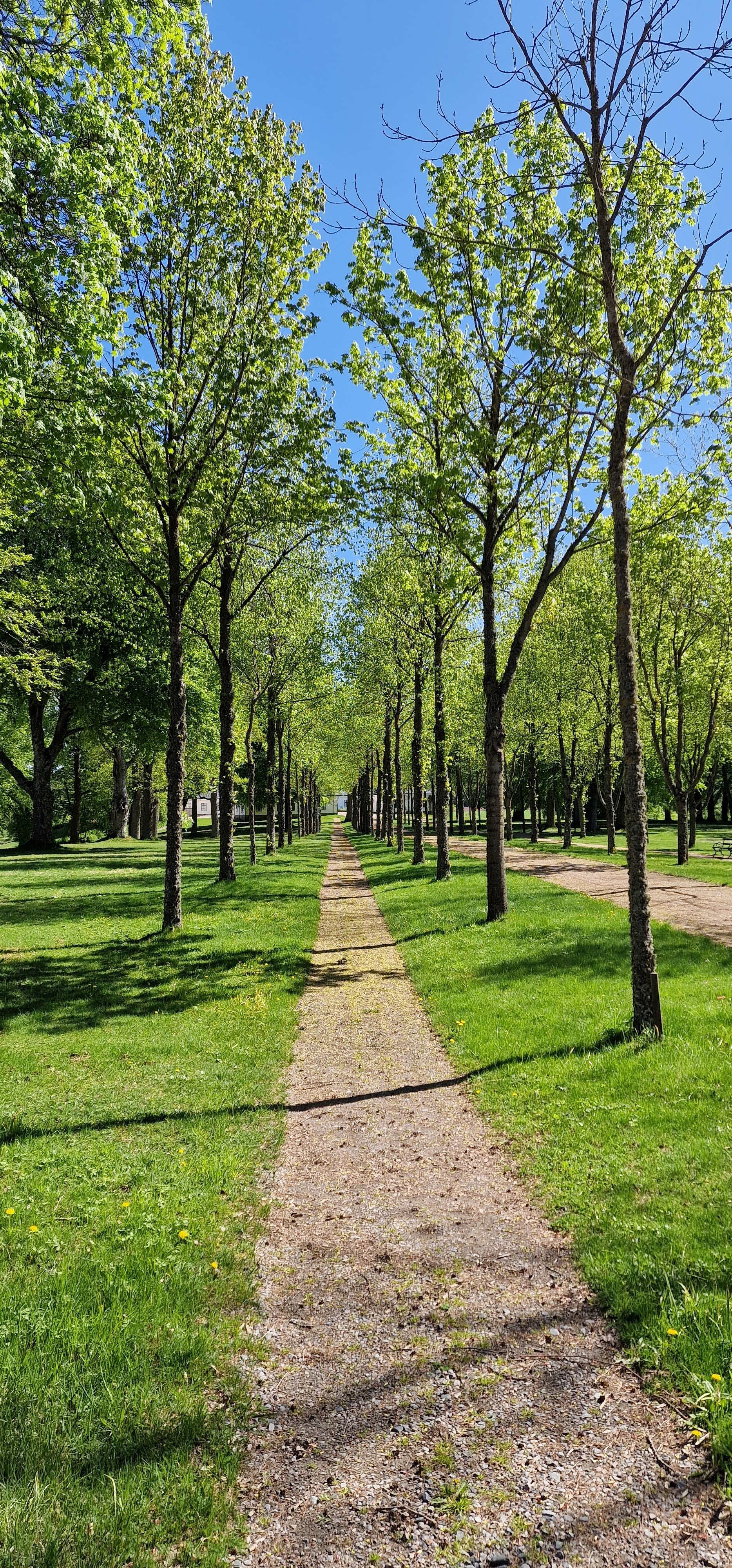Stjernsunds slott (Stjernsund Castle)